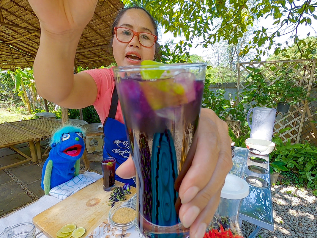 Butterfly Pea Flower Iced Tea how to make