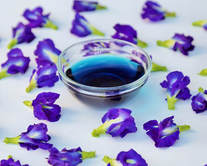 Butterfly Pea Flower and Anchan Tea Water